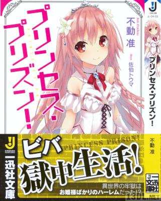 [不動准] プリンセス・プリズン!